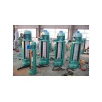 東莞專業生產電動葫蘆廠家