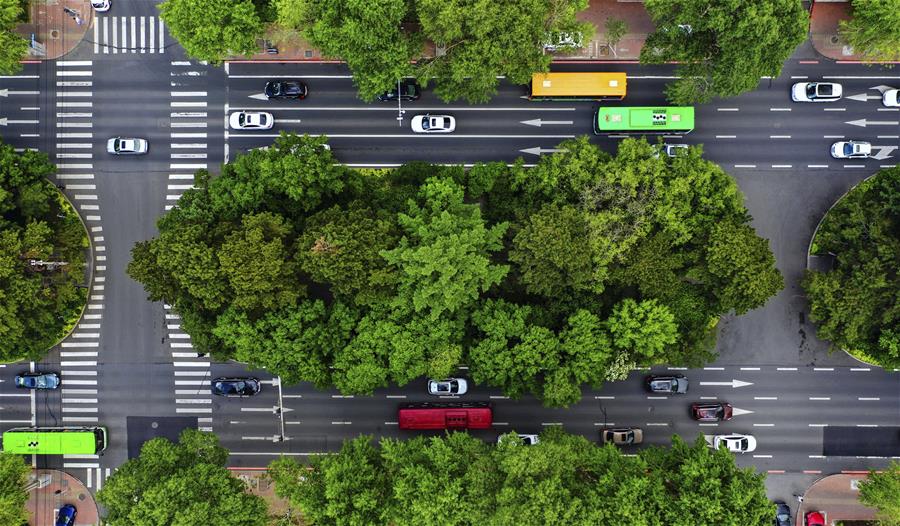 （環境）（6）長春：城市&ldquo;綠妝&rdquo;