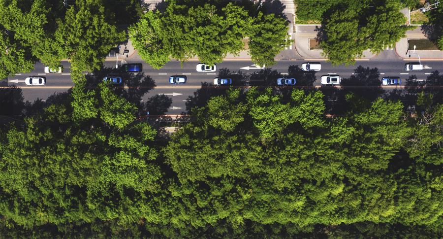 （環境）（5）長春：城市&ldquo;綠妝&rdquo;