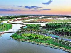 臨港濕地公園美如畫(huà)