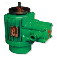 珠海起升電機高品質(zhì)