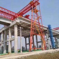 太倉花架門式起重機升降5米，